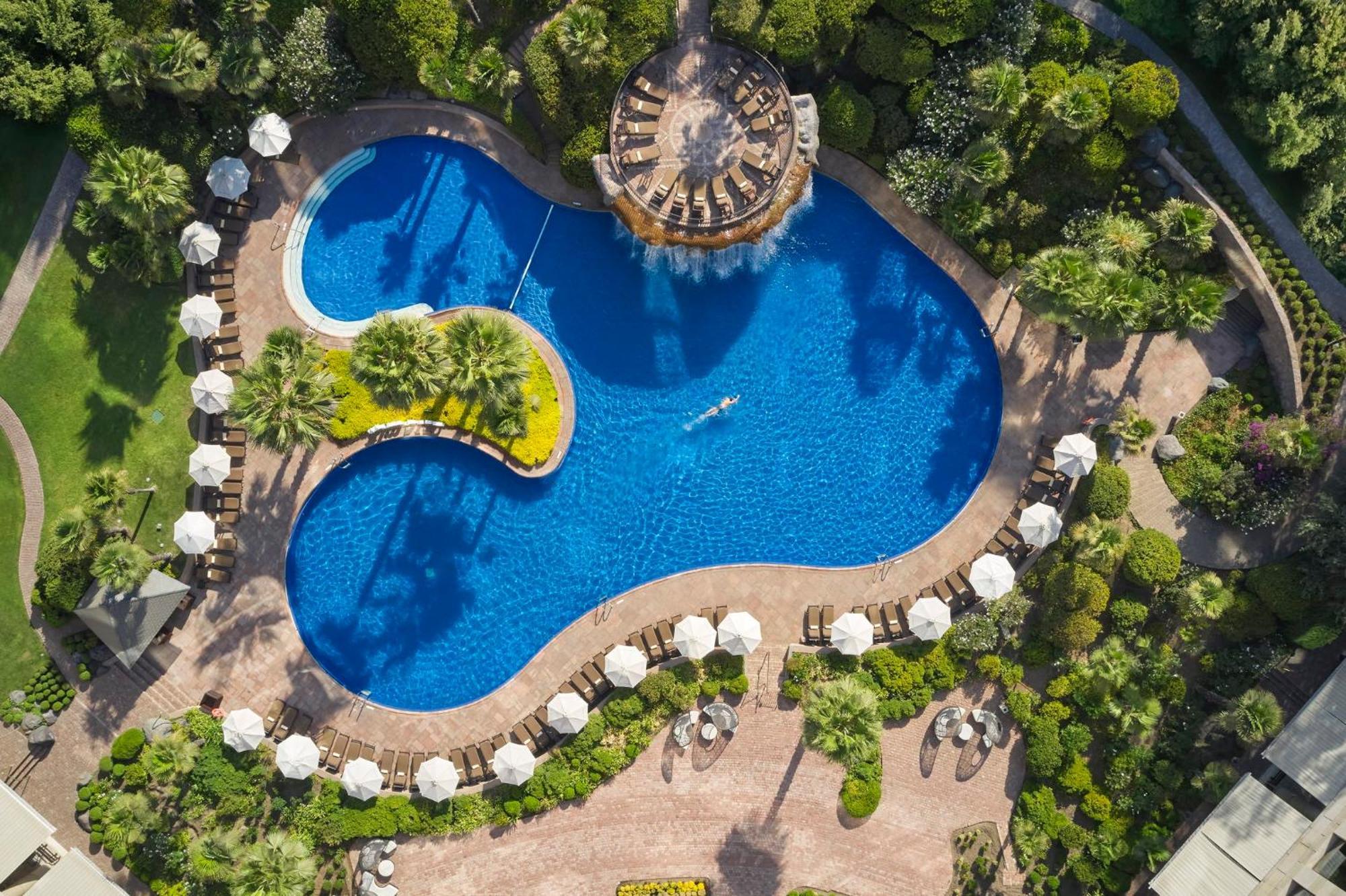 Mandarin Oriental, Santiago Hotel Bagian luar foto The swimming pool at the hotel